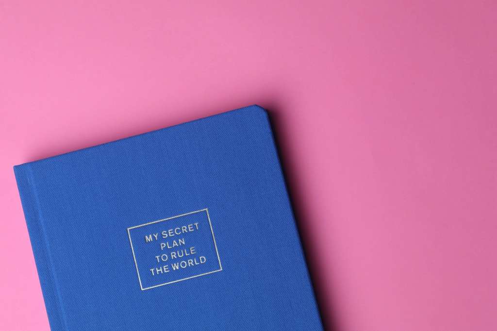 Ablue note book with the words, 'My secret plan to take over the world' on the front.
